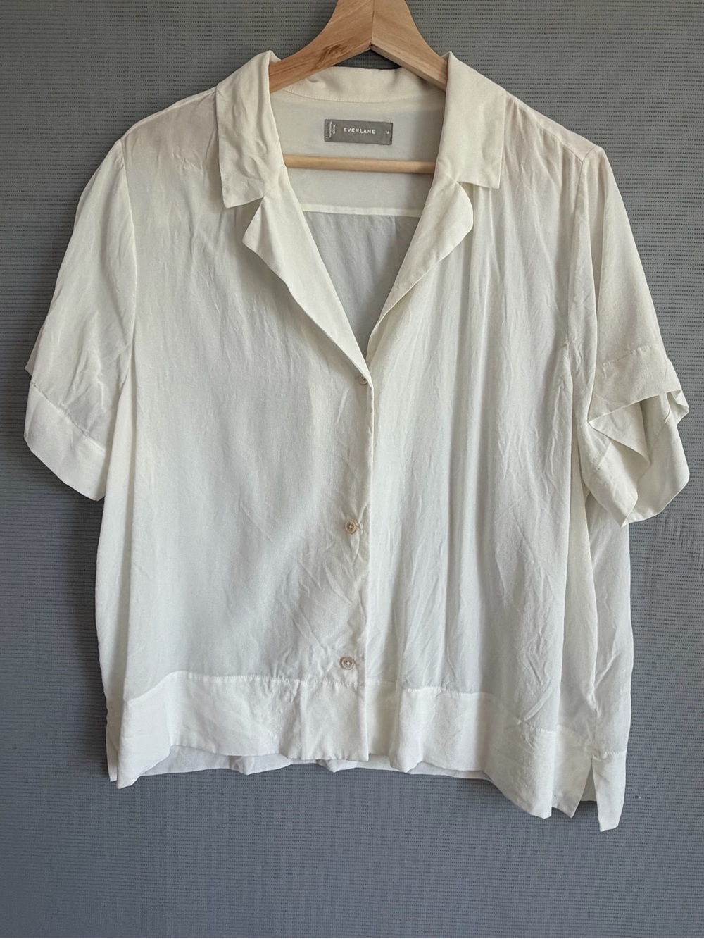 Everlane The Notch Shirt in Washable Silk